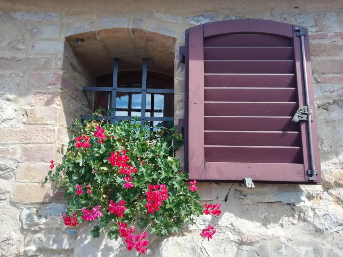 Ferienwohnung Poggio Massiccioli Poggibonsi Exterior foto